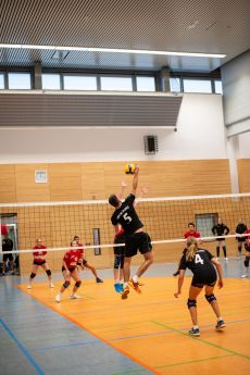 Volleyball-35-von-100.jpg